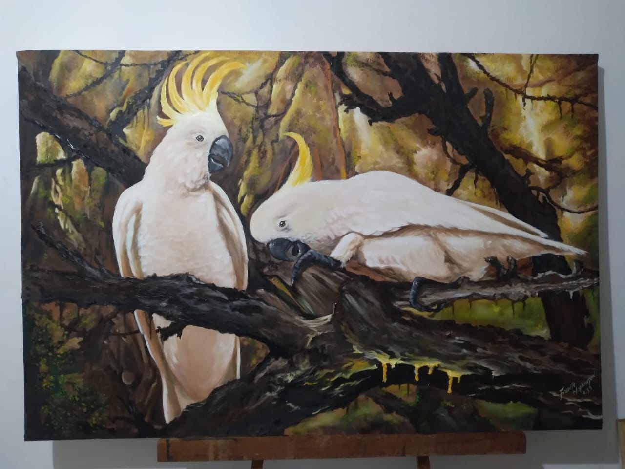 Duas aves brancas em galhos de uma floresta.